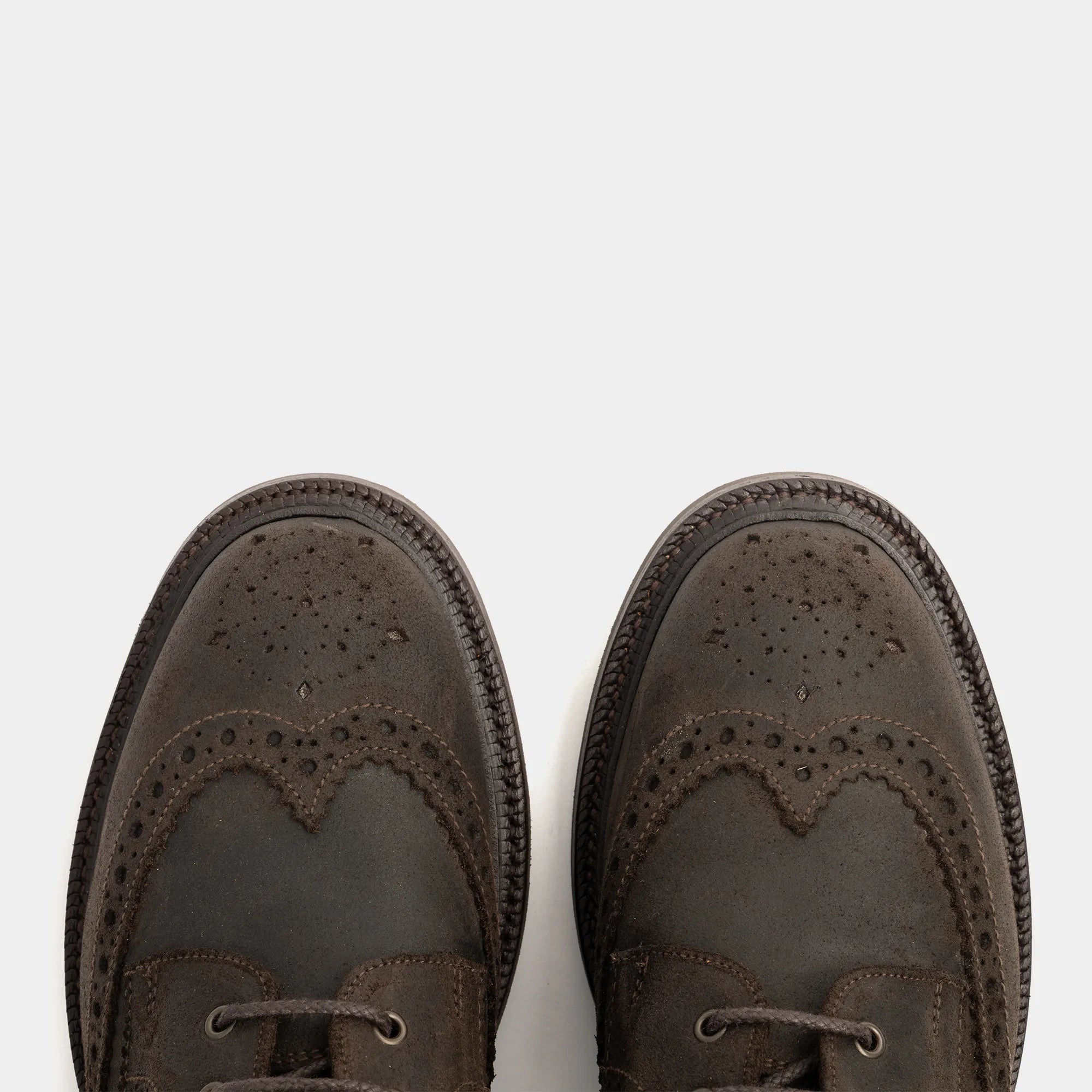 GRINDLETON // WALNUT